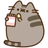Pusheen eating 2 5