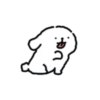 ️Chami dog   MOV 7