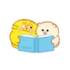 GATO GORDO 6