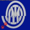 Variados 20 Movi 7