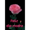 Día de las madres 1 MOV 12