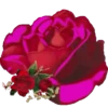 FLORES BELLAS 2 🌹💐🌻 CREADO POR BLANCA AT 7