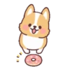 Corgi anime (Mov) 8