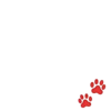 Variados 19 Movi 9