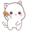 White Cat!  .MOV 10