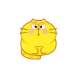 GATO GORDO 10