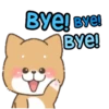 Shiba dog mov. 8
