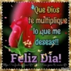 Día de la Madre 4 Movi 10