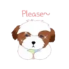 Shih tzu Bruno Mov 5