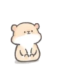HÁMSTER Y PANDA LINDO 9