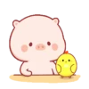 Cute little pig 🐷 7