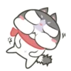 Gatinho perdido 5