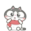 Gatinho perdido 6