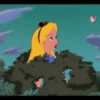 Alicia maravillas mov 8