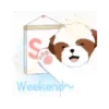 Shih tzu Bruno Mov 6
