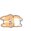Corgi anime (Mov) 11