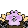 ️Purple hamster   MOV 6
