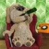 Ben the Dog 7