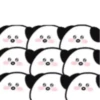️black eared puppy  MOV 12