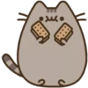 Pusheen eating 2 7