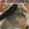 Michis Random 16