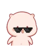 Cute little pig 🐷 10