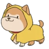 Shiba dog mov. 11