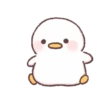 Malang Duck mov. 13