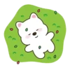 ÷=÷ WhItE BeAr ÷=÷ 9