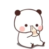 OSITOS KAWAII ‍ ️ 12