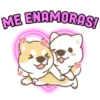 Shiba dog mov. 13
