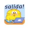 GATO GORDO 14
