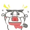 Gatinho perdido 7