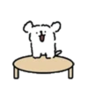 ️Chami dog   MOV 17