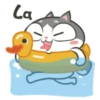 Gatinho perdido 8