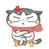 Gatinho perdido 9