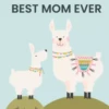 Feliz día Mamitas  Mov 18