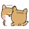 Shiba dog mov. 16