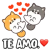 Shiba dog mov. 17