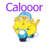 GATO GORDO 16