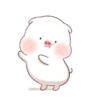 ️Pig gordo1  MOV 11