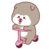 ️Happy Little dog  MOV 19