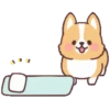 Corgi anime (Mov) 17