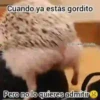 Cuando ya estás gordito Pero no lo quieres admitir