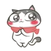 Gatinho perdido 11
