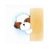 Shih tzu Bruno Mov 10