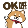 Shiba dog mov. 19