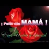 Día de la Madre 2 Movi 16