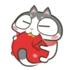 Gatinho perdido 12