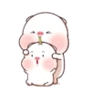️Pig gordo1  MOV 14